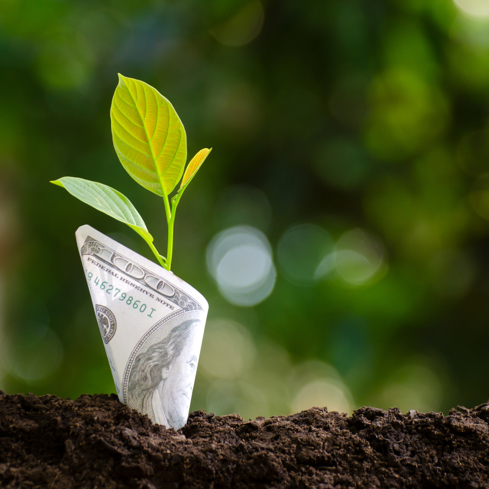 Wealth-management-interna