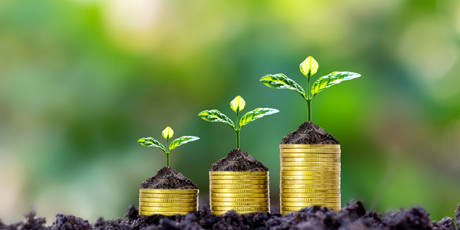 Scopri di più sull'articolo Protetto: Wealth Management